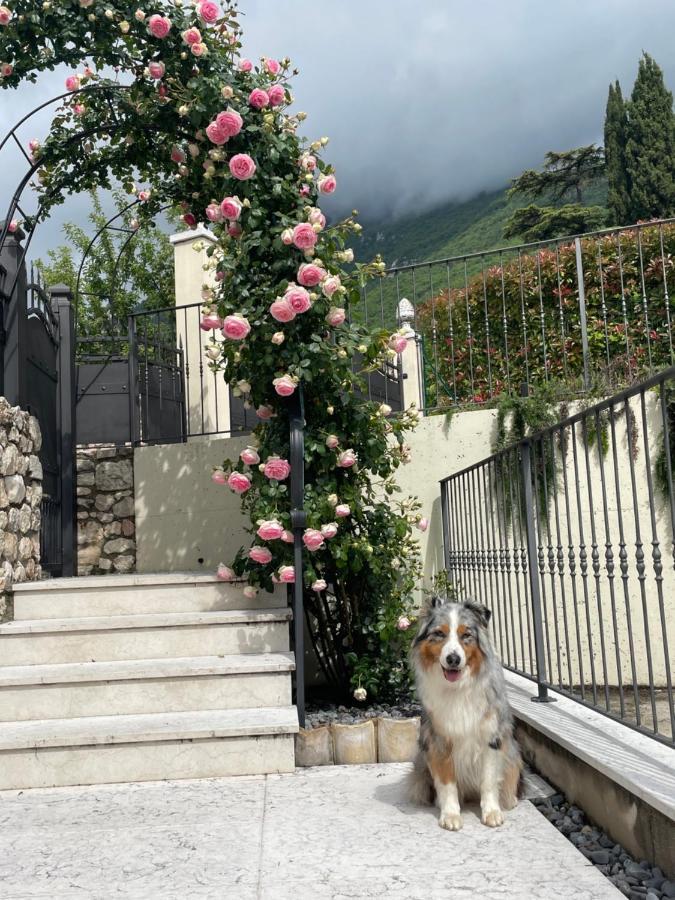 Corte Caiar Bed&Breakfast Caprino Veronese Dış mekan fotoğraf